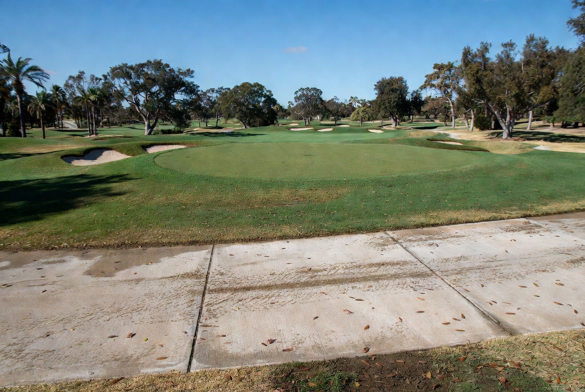 Dirty cart path before cleaning